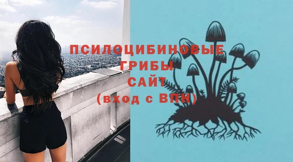 дурь Наволоки