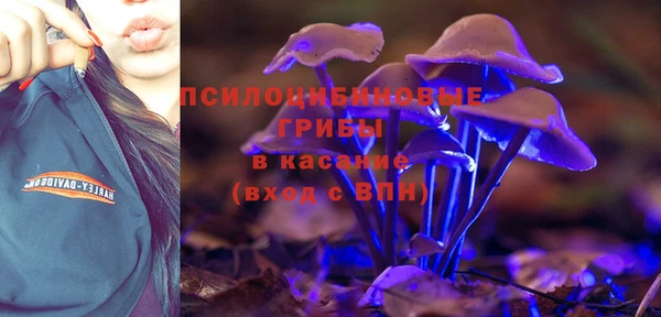 стаф Навашино