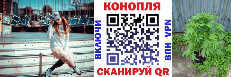 закладка  Уяр  Канабис планчик 